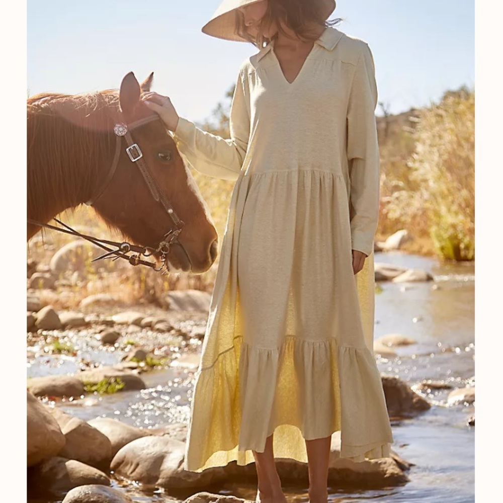 Free people maxi dress
